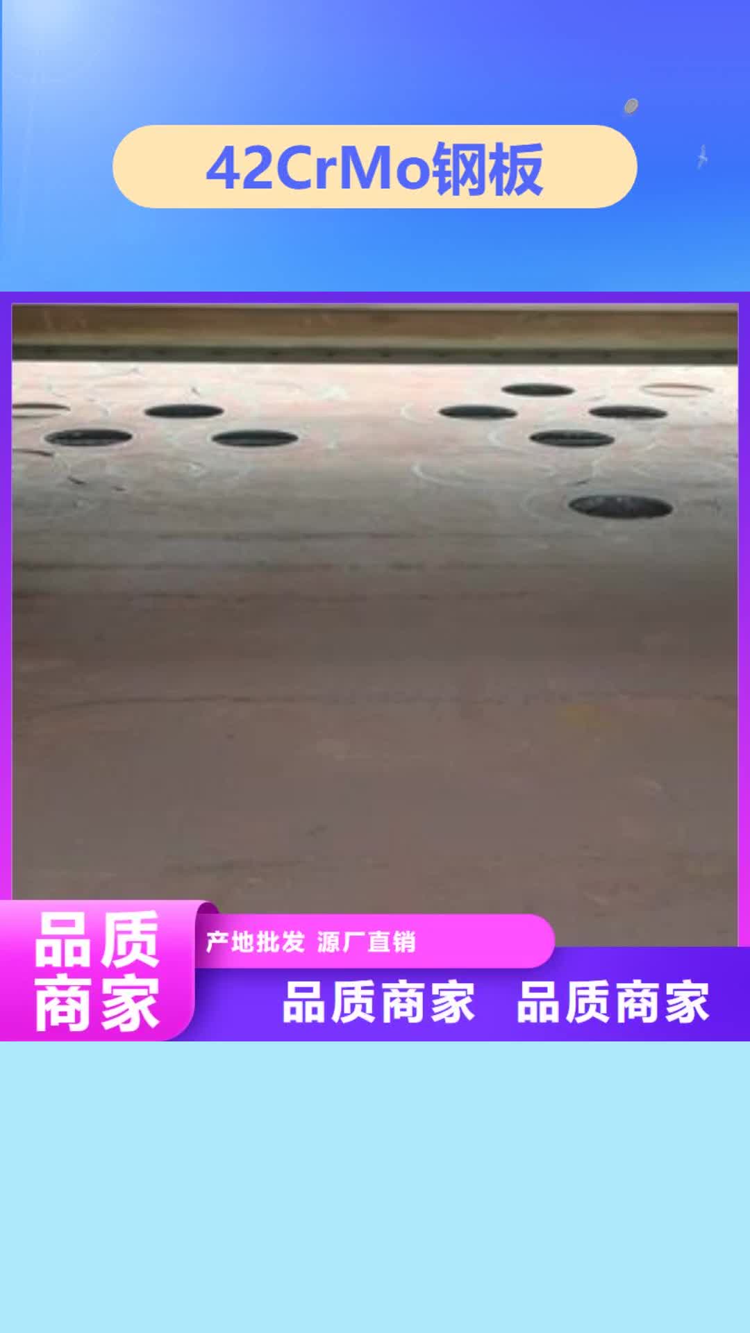 亳州 42CrMo钢板,【Q245R钢板】质量检测